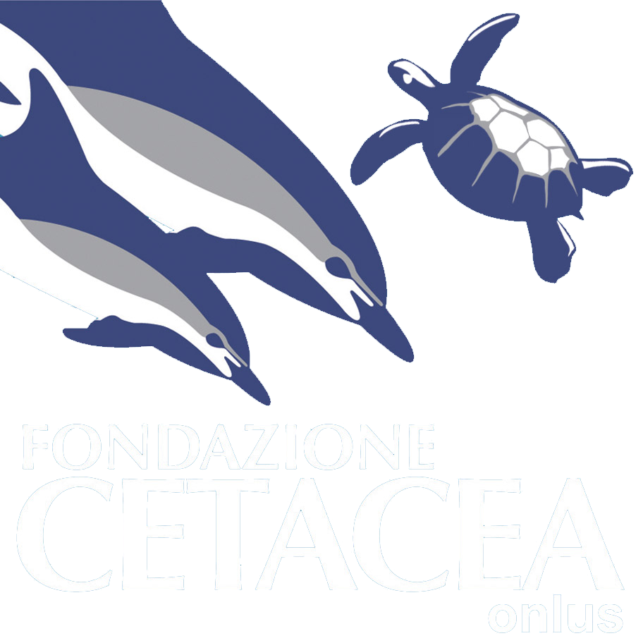 logo fondazione cetacea Riccione
